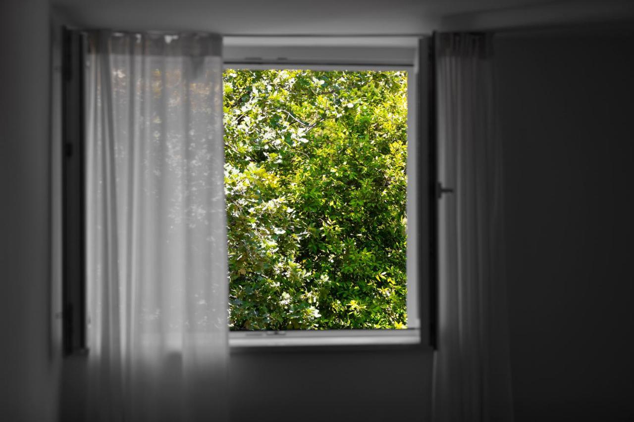 דוברובניק Apartment Fani With Free Private Parking מראה חיצוני תמונה
